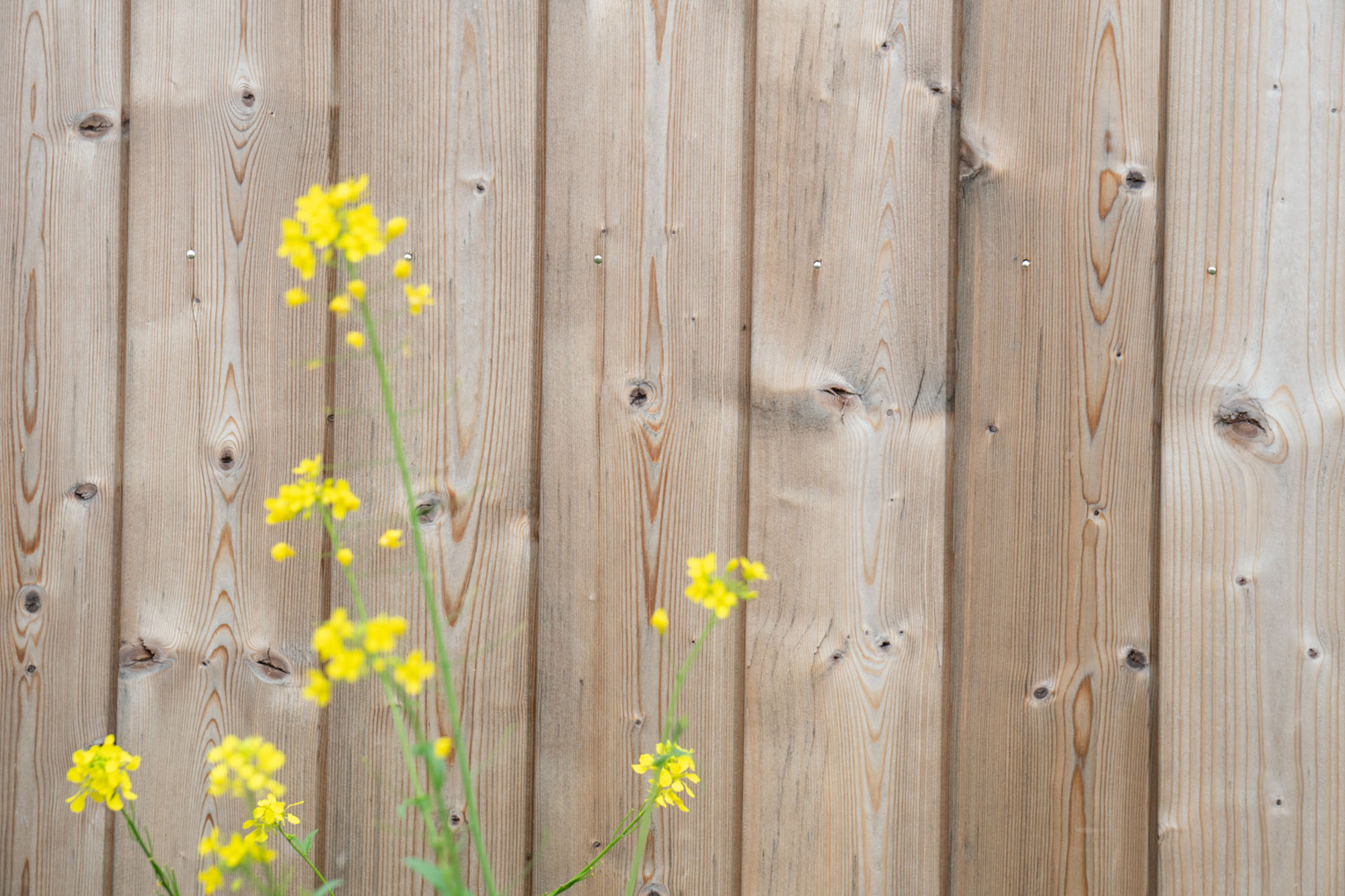 afbeeldingVakantiewoning Hemmen