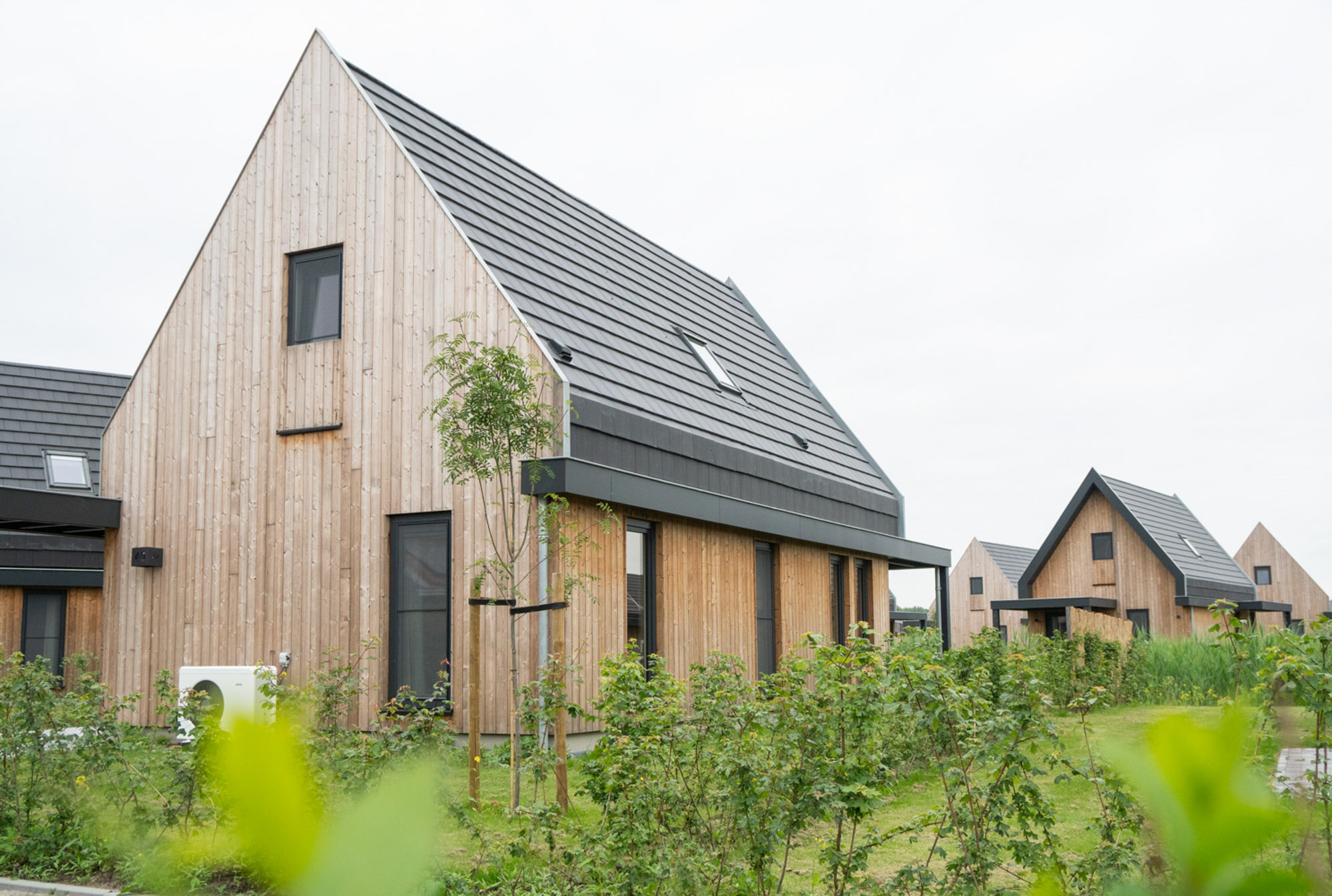 afbeeldingProject Elfstedenhart