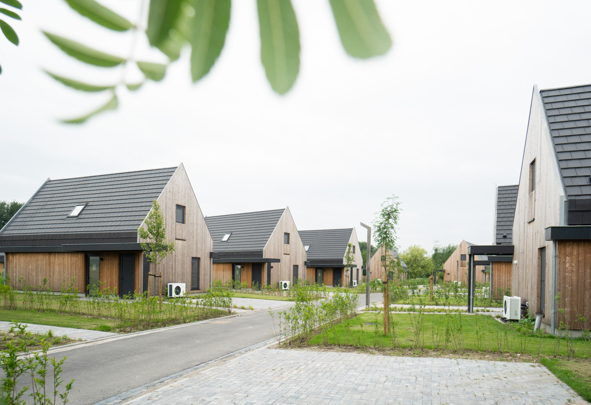 afbeeldingProject Elfstedenhart