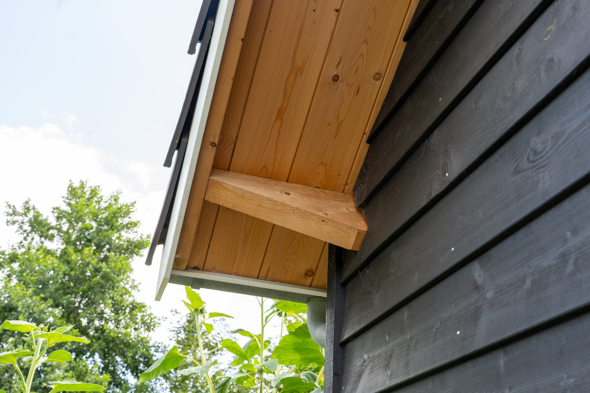 afbeeldingVakantiewoning Wijchen